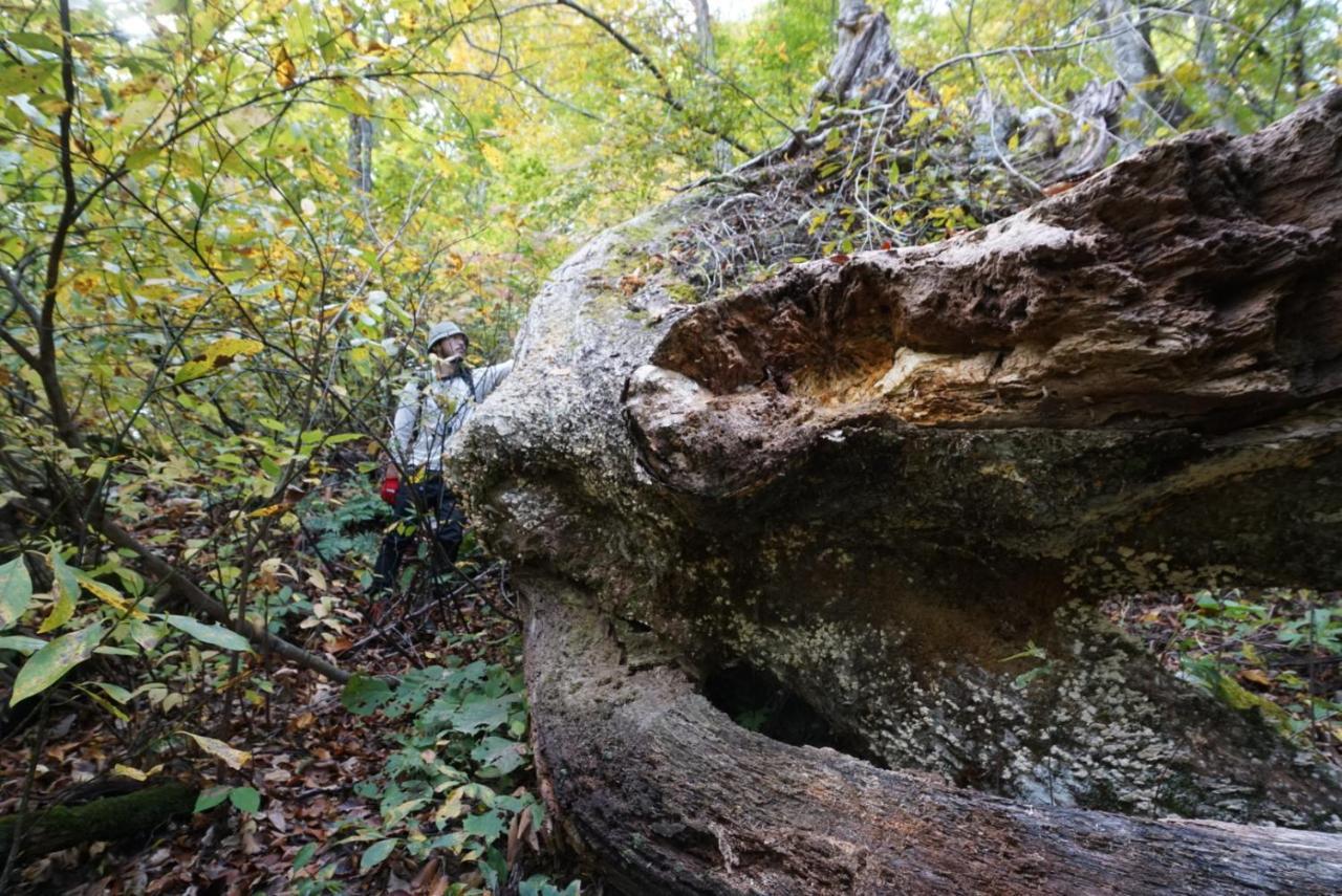 Shiroyamakan Сіракава Екстер'єр фото